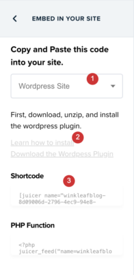 The Best Ways to Embed Instagram Stories on Your Website for Free