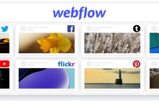 How to add social media feed to a Webflow website