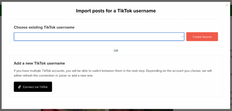 Juicer tiktok feed
