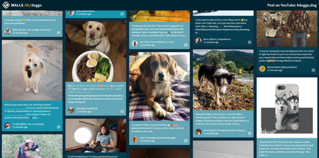 Walls.io- Alternative to EmbedSocial Social Feed For Events