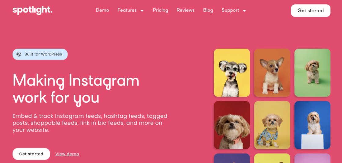 Spotlight Social Feeds plugin